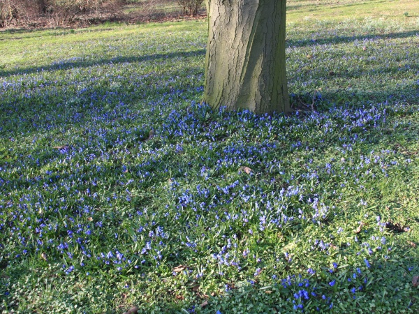 Fruehling 2009   008.jpg